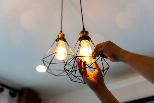 Best Electrician for Home Renovation  in Elkton, KY